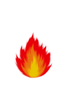 ���ݿ